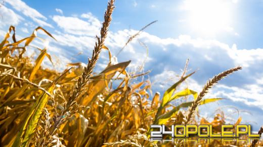 Ostrzeżenie meteorologiczne dla naszego regionu 