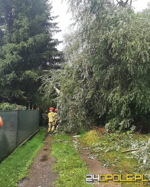 Front burzowy przyniósł tysiące interwencji strażaków w całym kraju