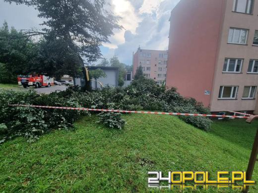 Front burzowy przyniósł tysiące interwencji strażaków w całym kraju