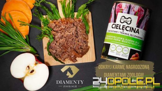 Rodzinna firma z Opola, Która odmienia psie nawyki żywieniowe