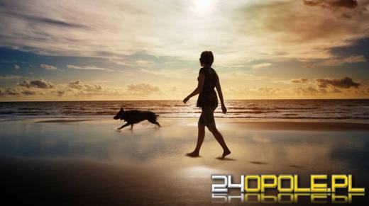 Wakacje z własnym psem lub kotem? Sprawdź jak to zrobić