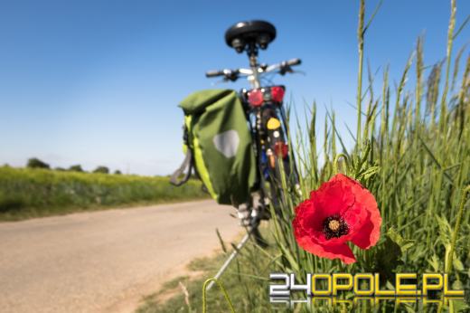 Z Koźla aż do Polskiej Cerekwi. Nowa trasa rowerowa w regionie