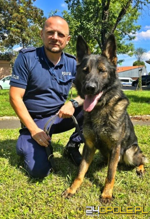 Rola psów w Policji jest nieoceniona: Najlepszy duet w Województwie