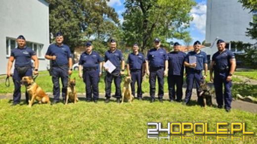 Rola psów w Policji jest nieoceniona: Najlepszy duet w Województwie