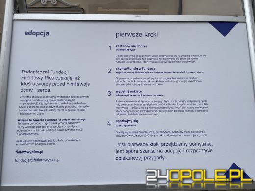 Wyjątkowa wystawa na Opolskim Rynku