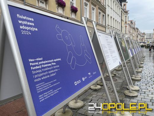 Wyjątkowa wystawa na Opolskim Rynku