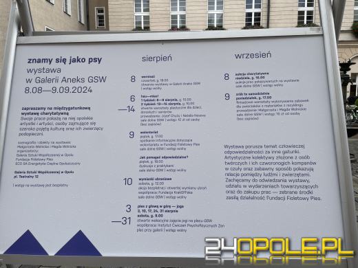 Wyjątkowa wystawa na Opolskim Rynku