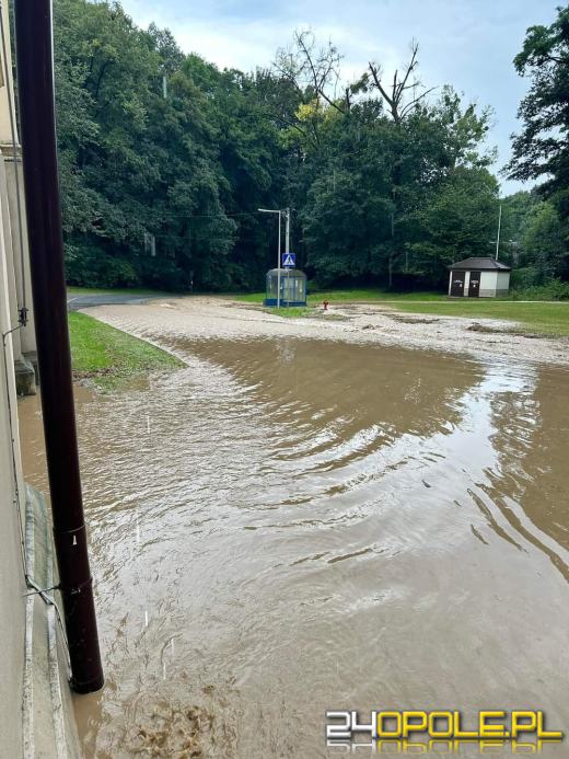 Ponad 100 interwencji strażaków na Opolszczyźnie