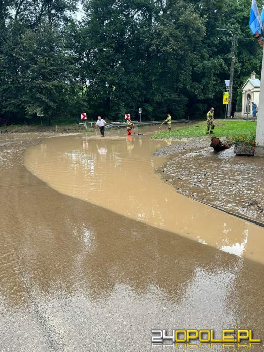 Ponad 100 interwencji strażaków na Opolszczyźnie
