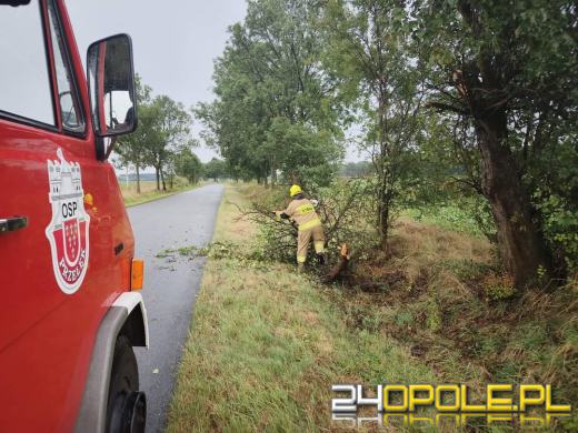 Ponad 100 interwencji strażaków na Opolszczyźnie