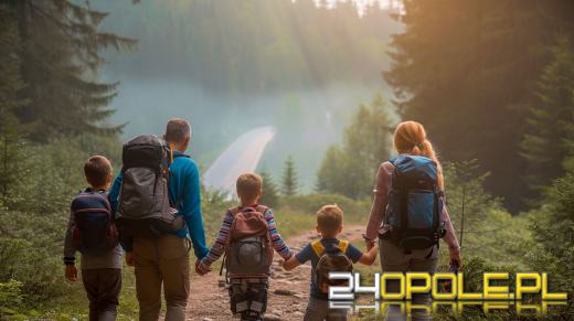 Bezpieczeństwo w górach i lasach - jak podróżować ze spokojną głową?