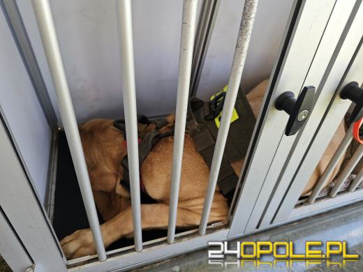 W CH Turawa Park trwa Piknik Strażacki 