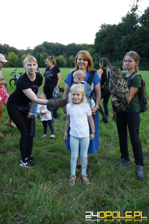 Opolska Noc Przyrodników za nami. Kiedy czeka nas Rój Perseidów? 