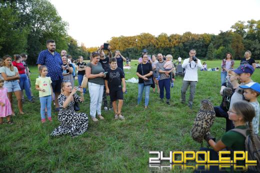 Opolska Noc Przyrodników za nami. Kiedy czeka nas Rój Perseidów? 