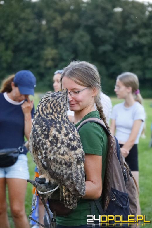 Opolska Noc Przyrodników za nami. Kiedy czeka nas Rój Perseidów? 
