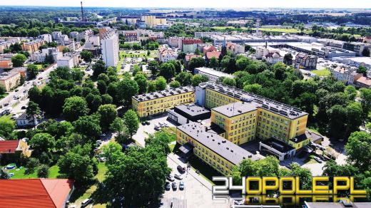 Brzeg: Trwa walka o przetrwanie drzew