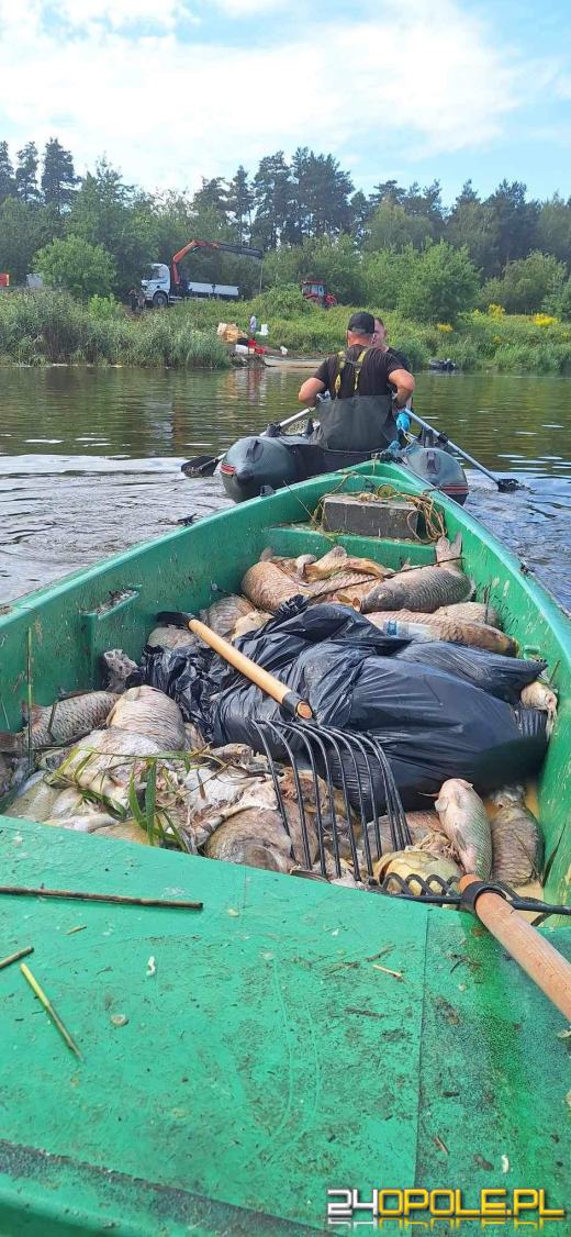 105 ton śniętych ryb w wodach płynących przez Opolszczyznę