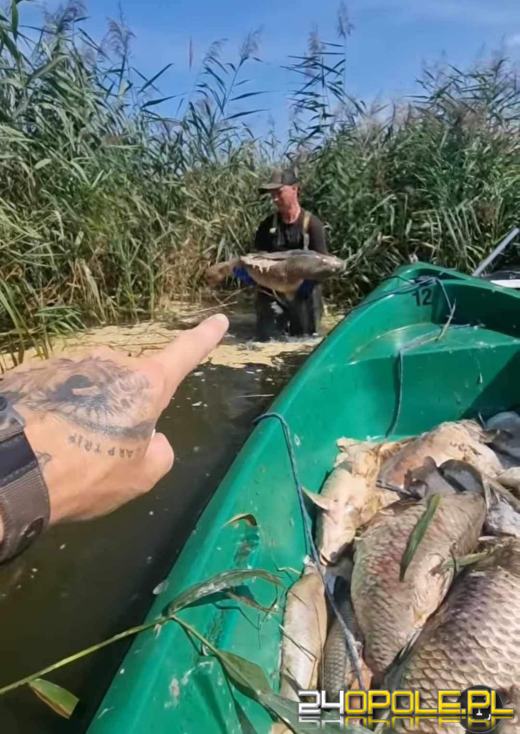 105 ton śniętych ryb w wodach płynących przez Opolszczyznę