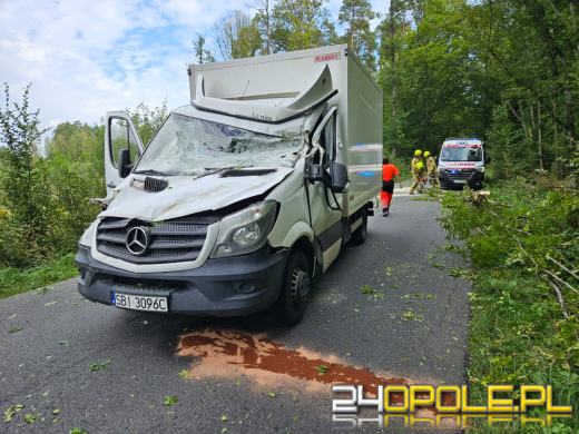 Drzewo spadło na busa, zmiażdżona kabina kierowcy