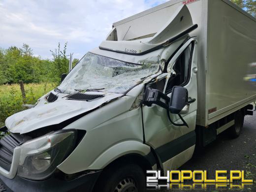 Drzewo spadło na busa, zmiażdżona kabina kierowcy