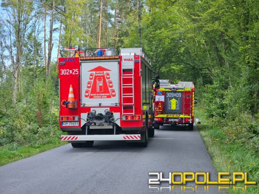 Drzewo spadło na busa, zmiażdżona kabina kierowcy