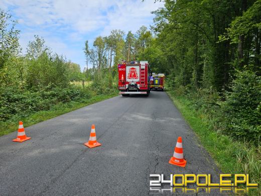 Drzewo spadło na busa, zmiażdżona kabina kierowcy