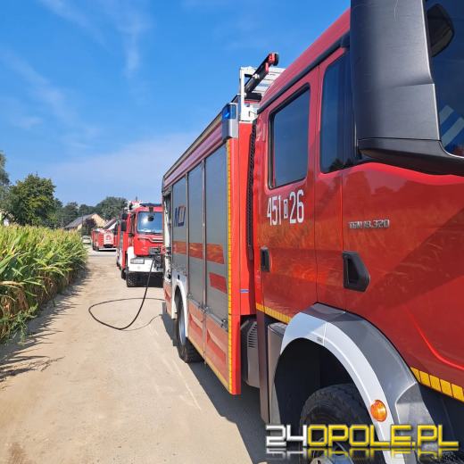 Pożar kuchni w domu bliźniaczym w Łączanach. Strażacy uratowli psa