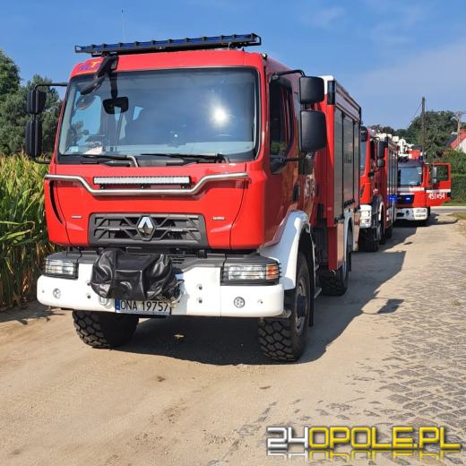 Pożar kuchni w domu bliźniaczym w Łączanach. Strażacy uratowli psa