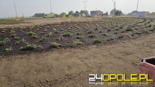 Budowa ronda w Zimnicach Małych na ostatniej prostej (WIDEO)