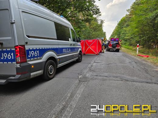 Dachowanie na DW463 między Antoniowem a Dylakami- kierowca nietrzeźwy