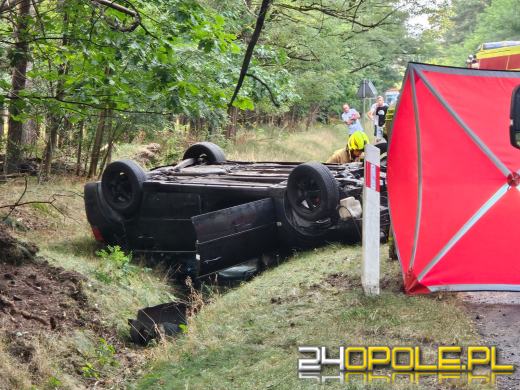 Dachowanie na DW463 między Antoniowem a Dylakami- kierowca nietrzeźwy