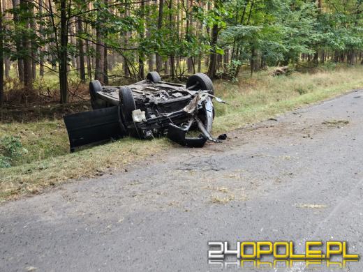 Dachowanie na DW463 między Antoniowem a Dylakami- kierowca nietrzeźwy