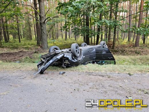 Dachowanie na DW463 między Antoniowem a Dylakami- kierowca nietrzeźwy