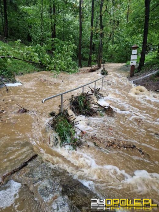 Cały dzień trwają działania ratownicze i zabezpieczające. Fotorelacja 