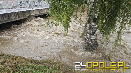 Cały dzień trwają działania ratownicze i zabezpieczające. Fotorelacja 