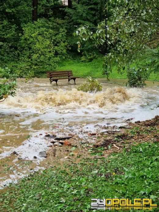 Cały dzień trwają działania ratownicze i zabezpieczające. Fotorelacja 