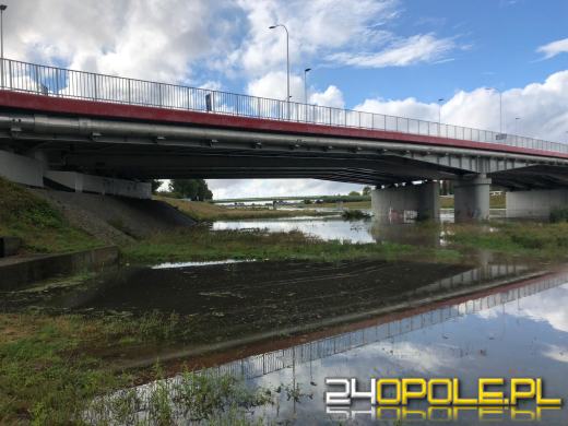 Pogotowie przeciwpowodziowe w Opolu od godz. 9:00 - działania zabezpieczające w mieście