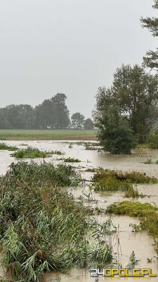 Aktualna sytuacja w regionie. Ewakuacje, zalane miejscowości i utrudnienia komunikacyjne