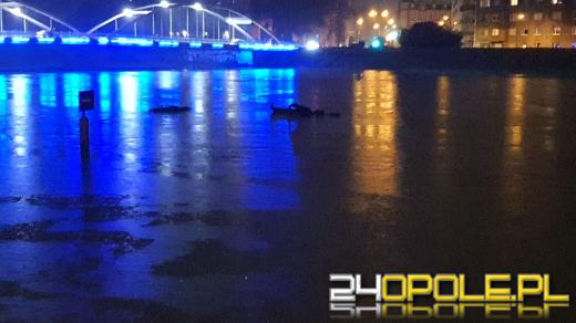 Zamknięte fragmenty obwodnicy. Zmiany w kursach autobusów MZK