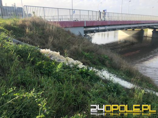 Wody Polskie: maksymalny poziom Odry nie powinien przekroczyć 7 metrów