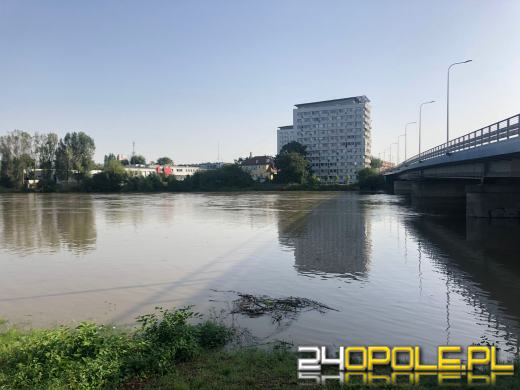 Wody Polskie: maksymalny poziom Odry nie powinien przekroczyć 7 metrów
