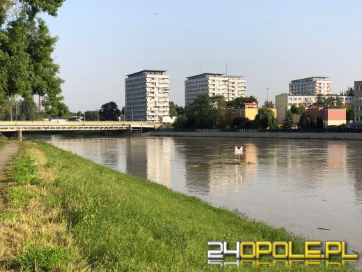 Wody Polskie: maksymalny poziom Odry nie powinien przekroczyć 7 metrów