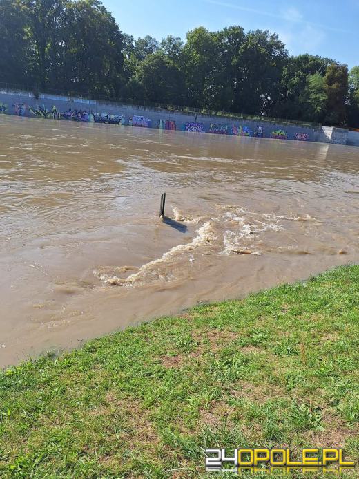 Raport z powiatu Kędzierzyńsko-Kozielskiego