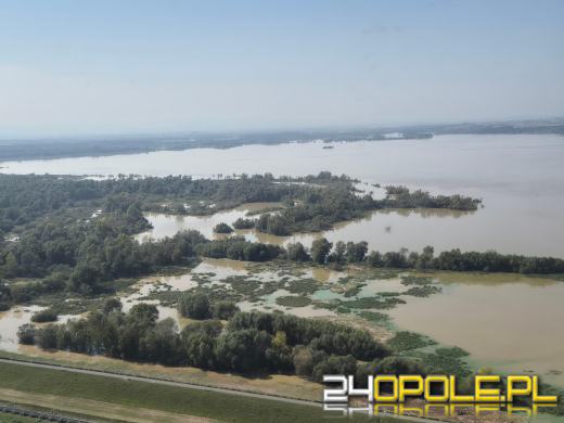 Brzescy saperzy pomagają zarówno na Opolszczyźnie, jak i Dolnym Śląsku