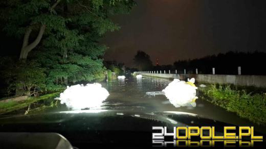 Służby i mieszkańcy wzmacniają Kędzierzyn-Koźle. Walka trwa też o Brzeg 