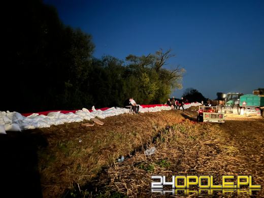 Służby i mieszkańcy wzmacniają Kędzierzyn-Koźle. Walka trwa też o Brzeg 