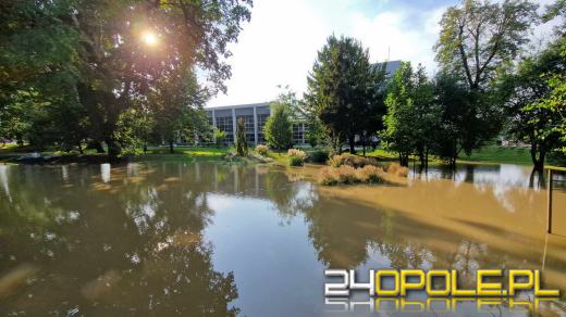 Brzeg czeka na przyjęcie fali. Miasto w pełnej gotowości