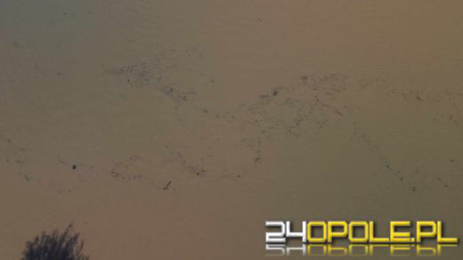 Brzeg czeka na przyjęcie fali. Miasto w pełnej gotowości