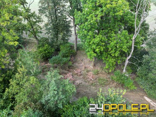 Burmistrz Głuchołaz: Miasto nigdy nie doświadczyło takiej katastrofy