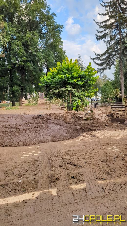 Burmistrz Głuchołaz: Miasto nigdy nie doświadczyło takiej katastrofy